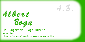 albert boga business card